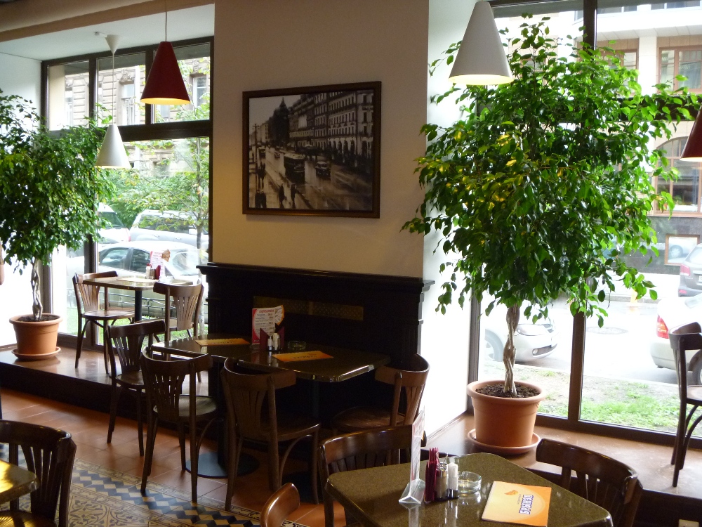 cafe cafe.jpg